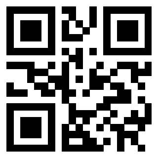 3302049084 - Immagine del Qr Code associato