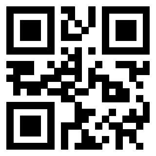 Il Qr Code di 3302049382