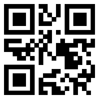 Il Qr Code di 3302089856