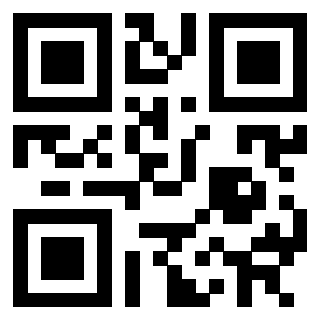 3302089920 - Immagine del QrCode