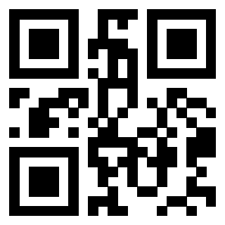 Il Qr Code di 3302090002