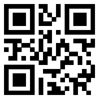 3302090528 - Immagine del QrCode