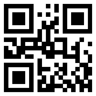 Il Qr Code di 3302090539