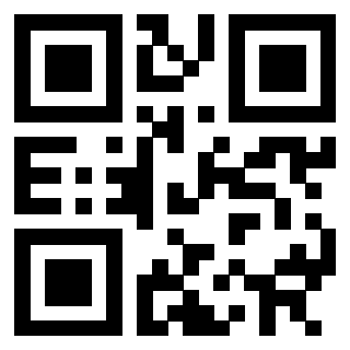 Il Qr Code di 3302090606