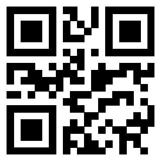 3302095808 QrCode associato
