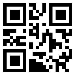 3302096566 - Immagine del QrCode