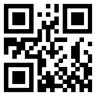 Il Qr Code di 3302265465