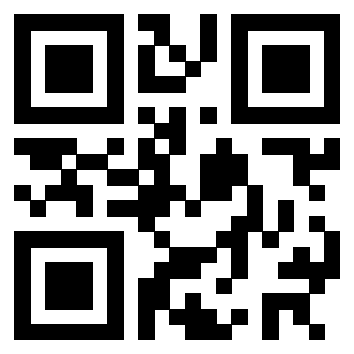 Il Qr Code di 3302265575