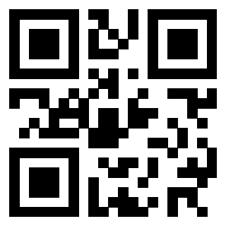 Il Qr Code di 3302266313