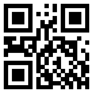 3302266876 - Immagine del QrCode