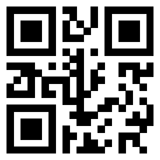 Il Qr Code di 3302266954