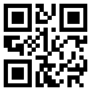 3302306013 - Immagine del Qr Code associato