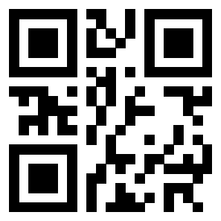 3302306333 - Immagine del QrCode