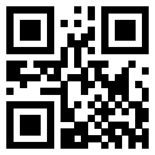 3302306381 - Immagine del QrCode