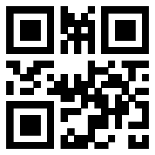 Il Qr Code di 3302326057