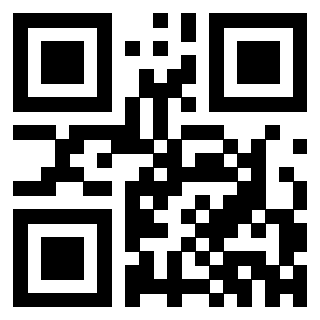 Il Qr Code di 3302326101