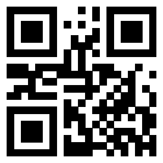Il Qr Code di 3302326202