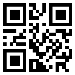 Il Qr Code di 3302326248