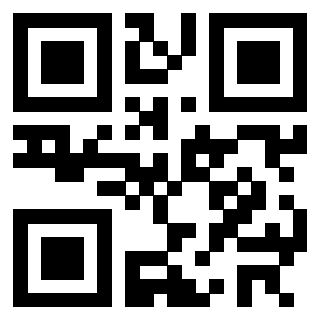 Il Qr Code di 3302326273