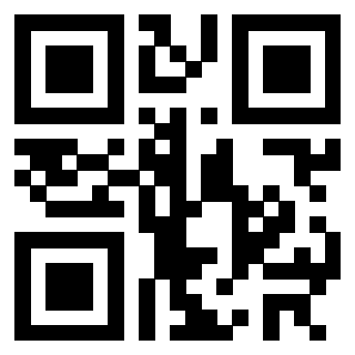 Il Qr Code di 3302326497