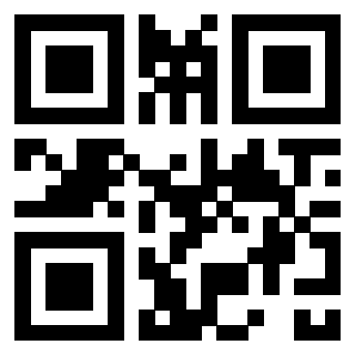 Il Qr Code di 3302326498