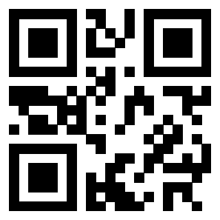 Il Qr Code di 3302326513