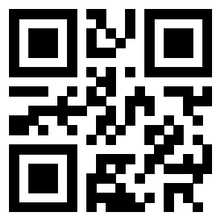 Il Qr Code di 3302326523