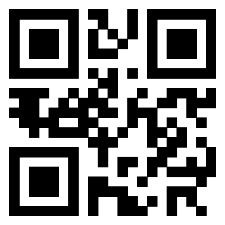 3302326613 Qr Code associato