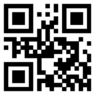 Il Qr Code di 3302326763