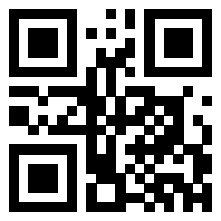 Il Qr Code di 3302326802