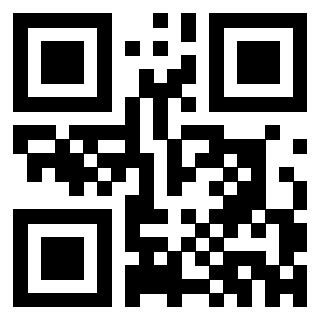 Il Qr Code di 3302326828