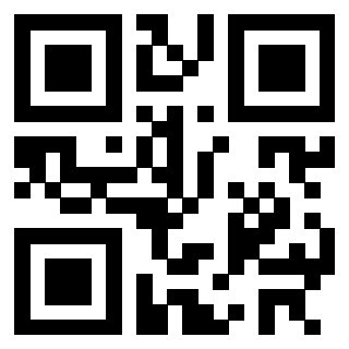 3302326917 - Immagine del Qr Code