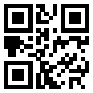3302328284 - Immagine del QrCode