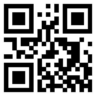 3302328787 - Immagine del QrCode