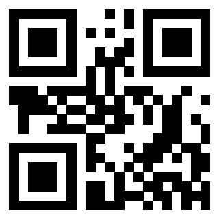 Il Qr Code di 3302329079