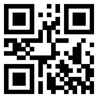 3302343433 - Immagine del QrCode