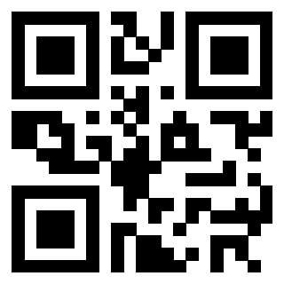 3302343533 - Immagine del QrCode associato