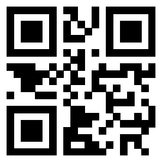 Il Qr Code di 3302343896