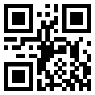 3302465100 - Immagine del QrCode