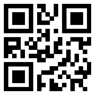 Il Qr Code di 3302465134