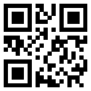 Il Qr Code di 3302465266