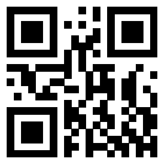 Il Qr Code di 3302465357