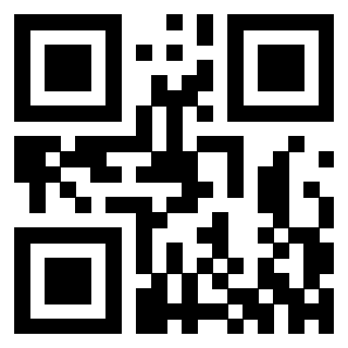 Il Qr Code di 3302465566