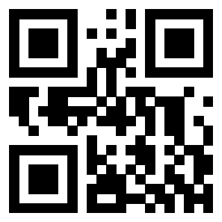 Il Qr Code di 3302465603