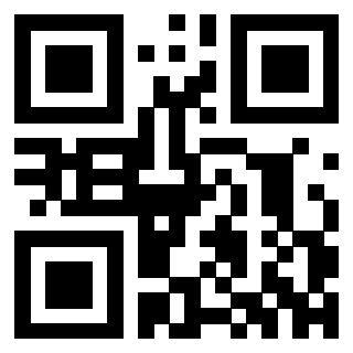 Il Qr Code di 3302465733