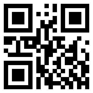 QrCode di 3302482336
