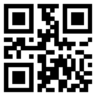 Il Qr Code di 3302482454