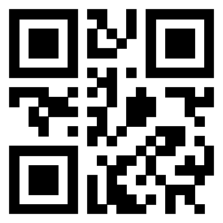 3302482571 - Immagine del QrCode