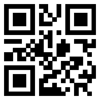 Il Qr Code di 3302482579