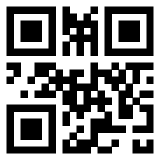Il Qr Code di 3302482633